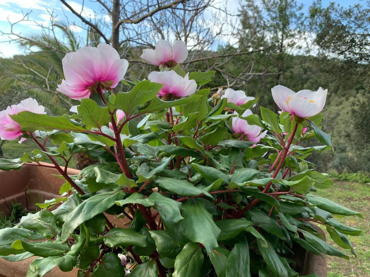 Casetta Genneria Seùlo 外观 照片