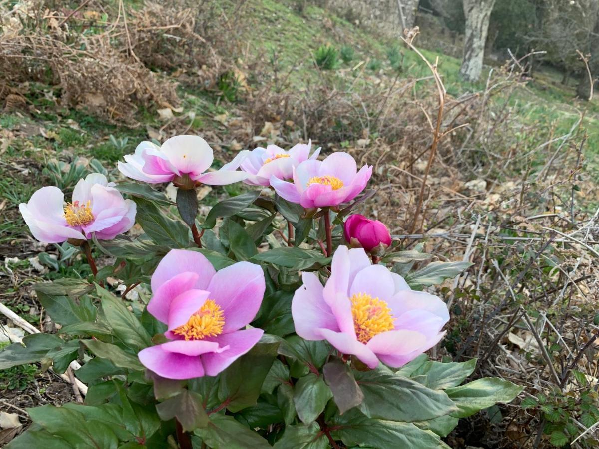 Casetta Genneria Seùlo 外观 照片